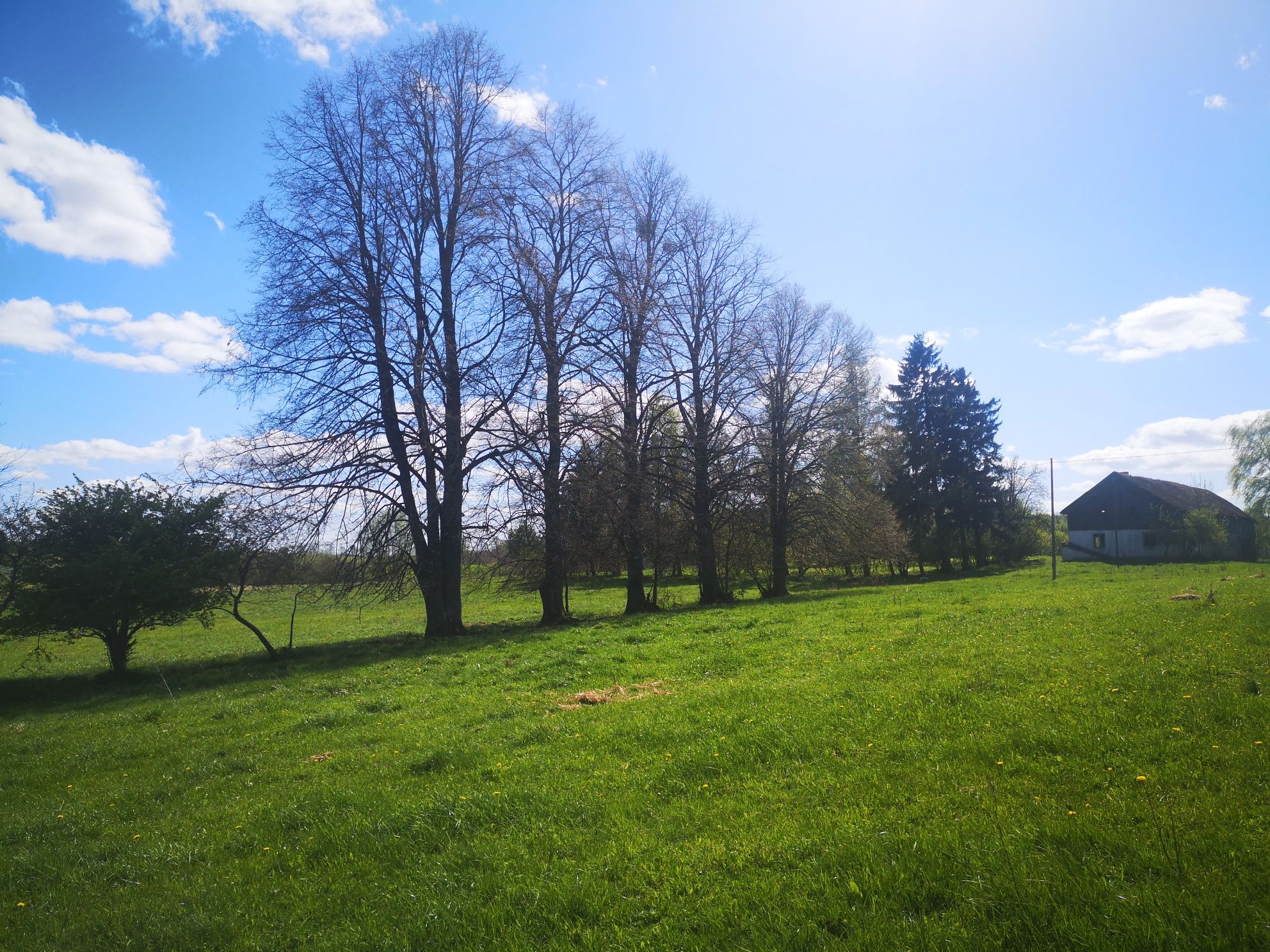 Mazury 14,97ha  w jednym kawałku z budynkiem gospodarczym  Warmia/Maz