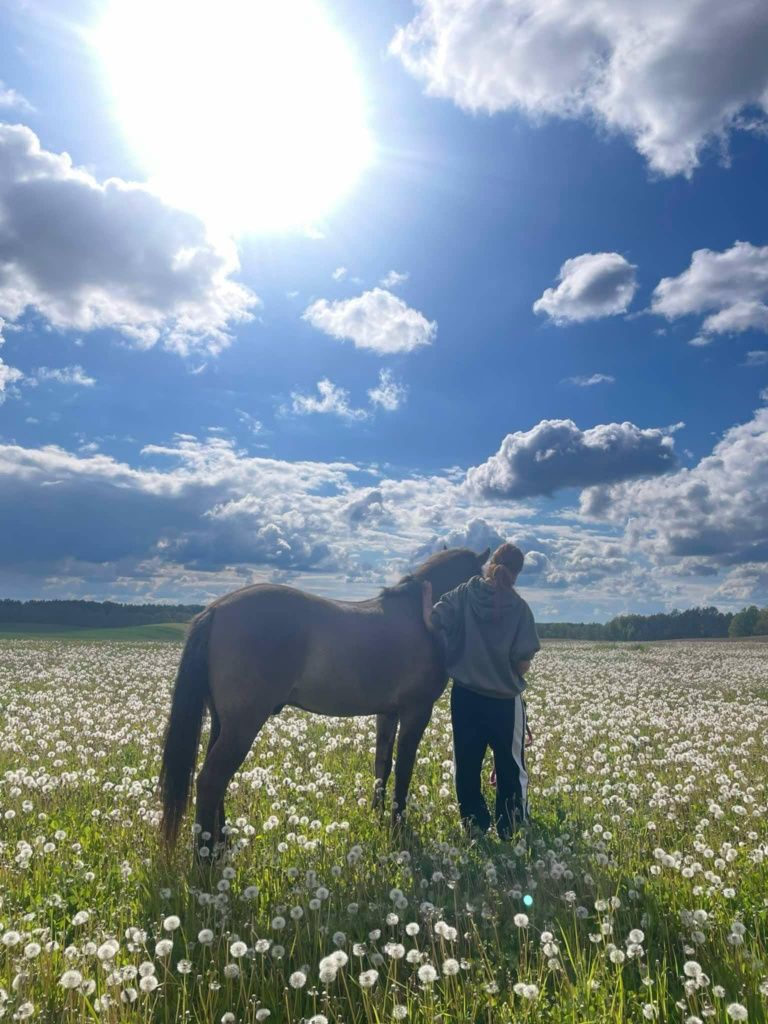 Domek Mazury ZOBACZ !