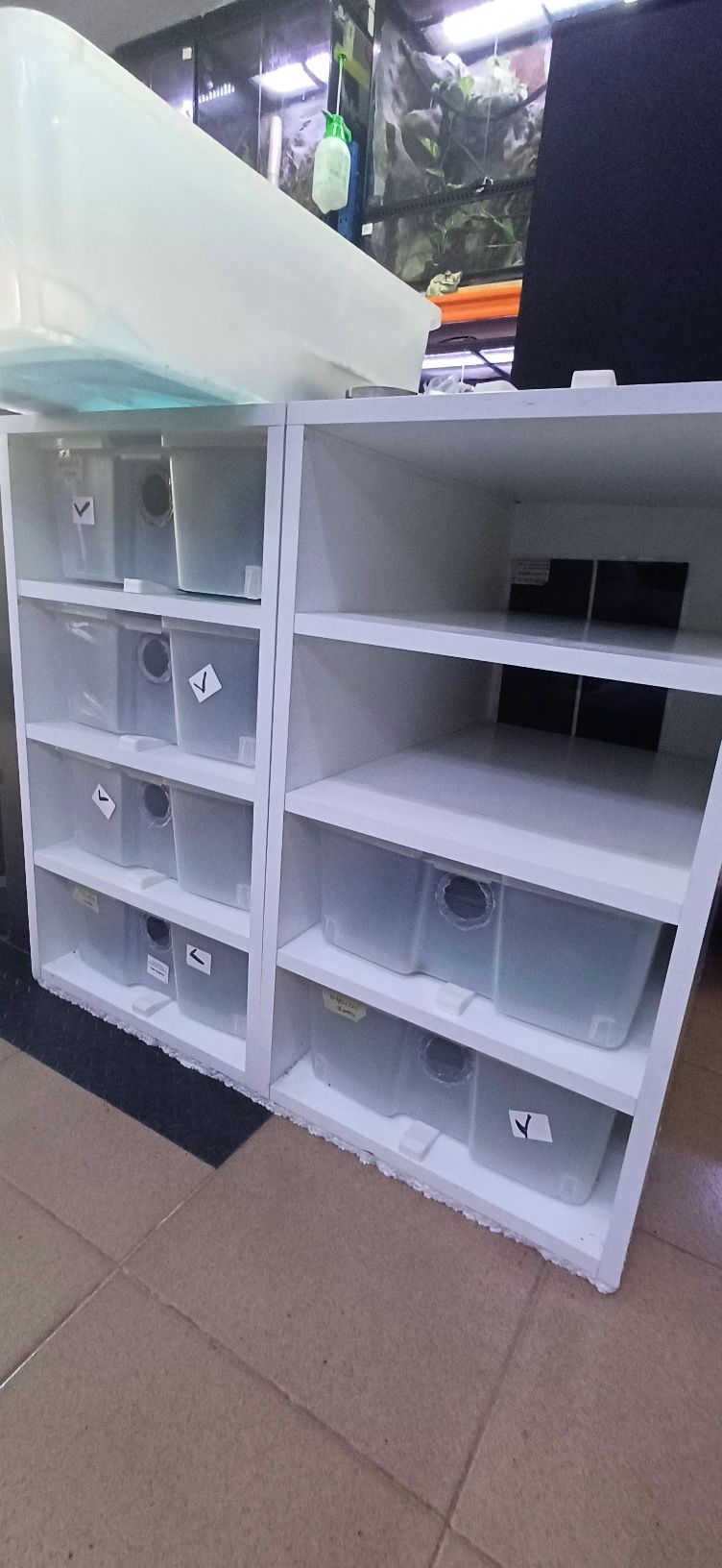 Rack para geckos/cobras