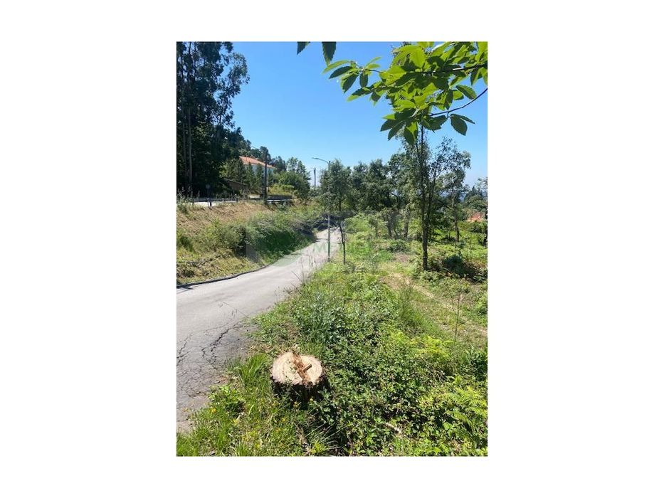 Terreno Para Construção | 5.000 M² Silva Escura - Sever Do Vouga
