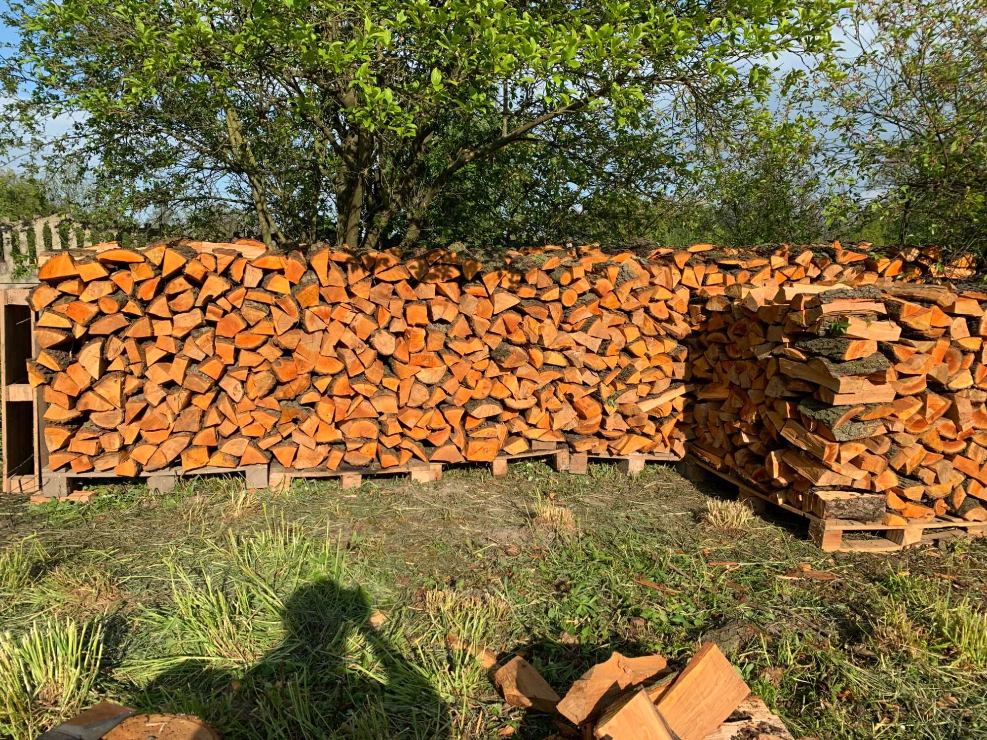 Drewno opałowe  -  Olcha