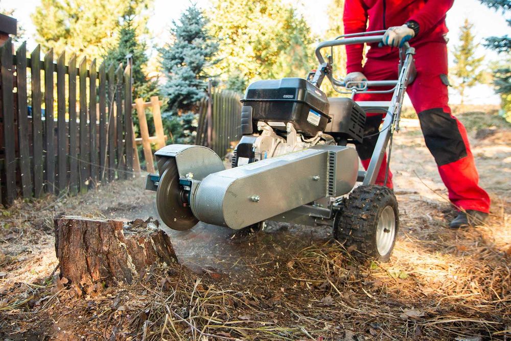 Wycinka pielęgnacja drzew, wycinanie, przycinanie, czyszczenie działek