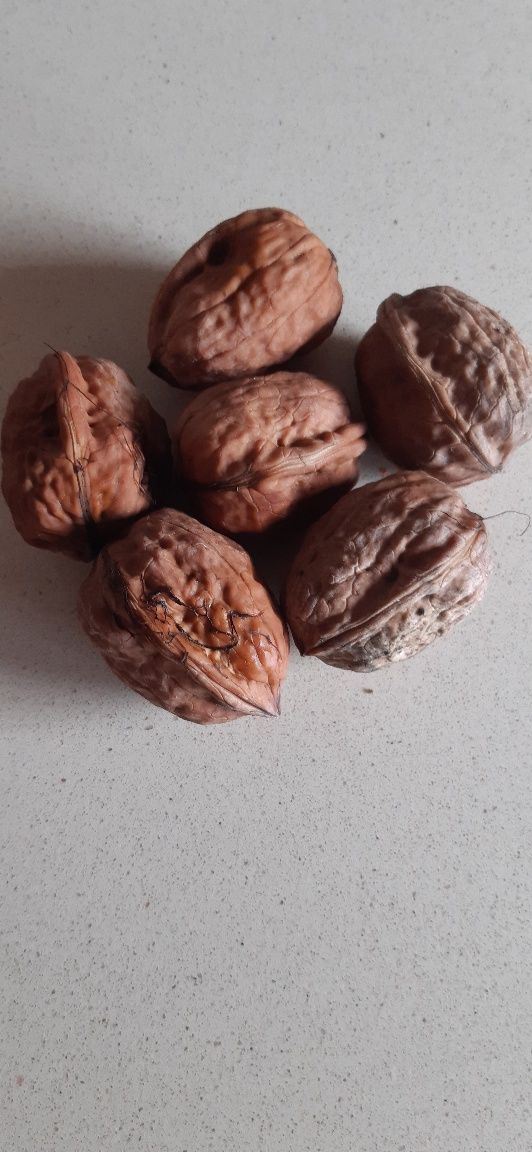Noz nao tratadas