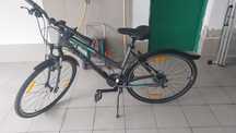 Rower damski Author Integra Neon rama 19"