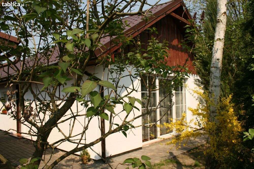 Domek nad jeziorem  wakacje las jezioro Bory Tucholskie basen