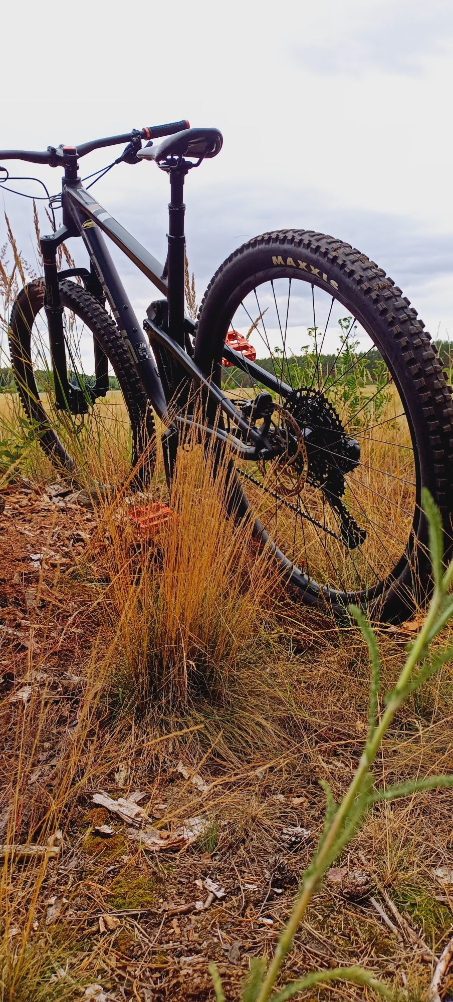 Focus enduro  MTB Super stan.