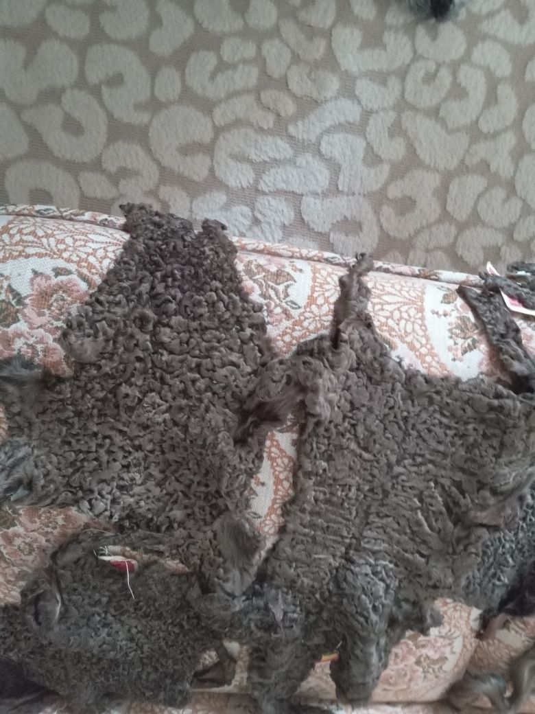 Продам новые шкурки каракуля фабричные.