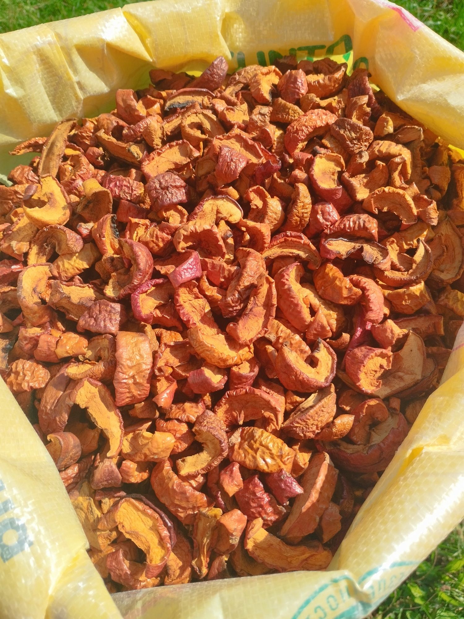 Продам сушку з яблук