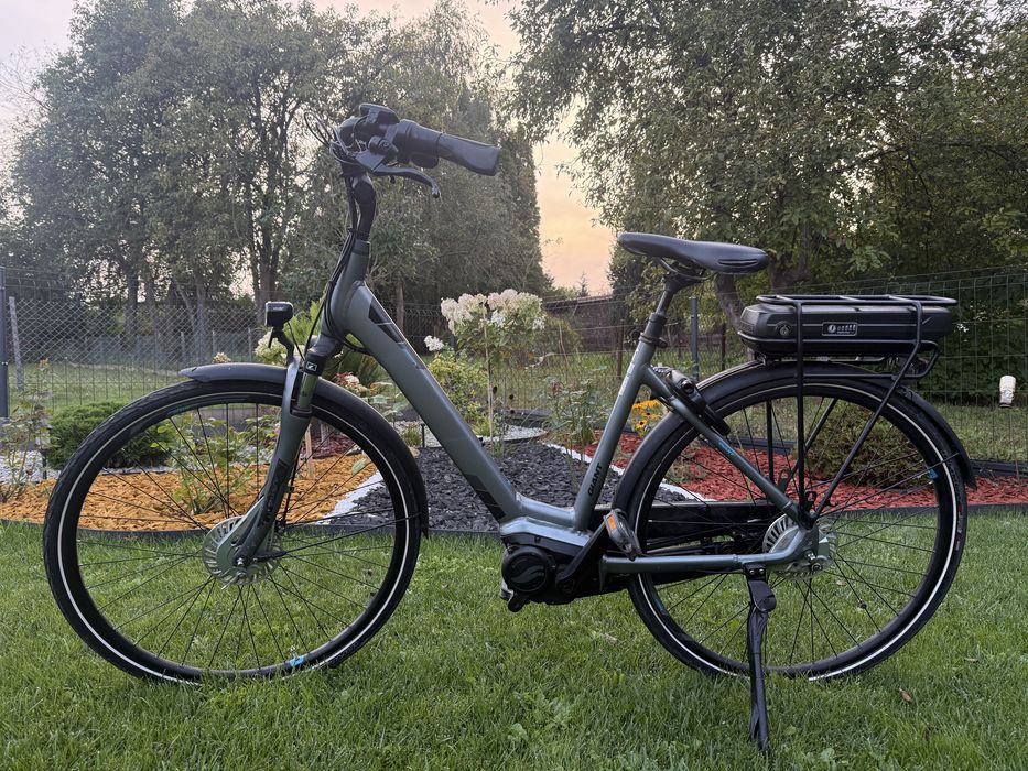 Rower Giant Entour e+