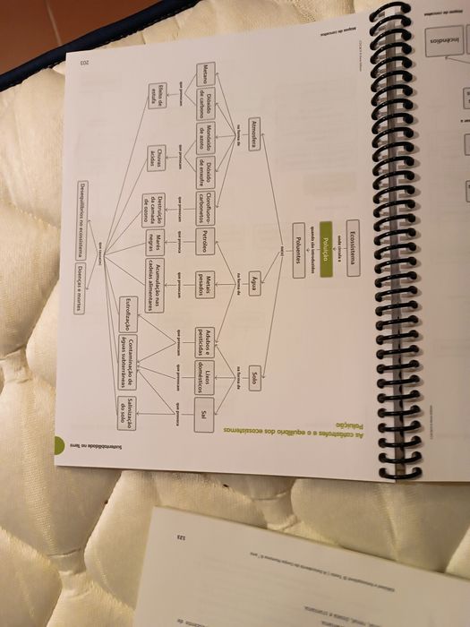 Dossier professor: Exploratório, cientic, À descoberta da vida, Terra
