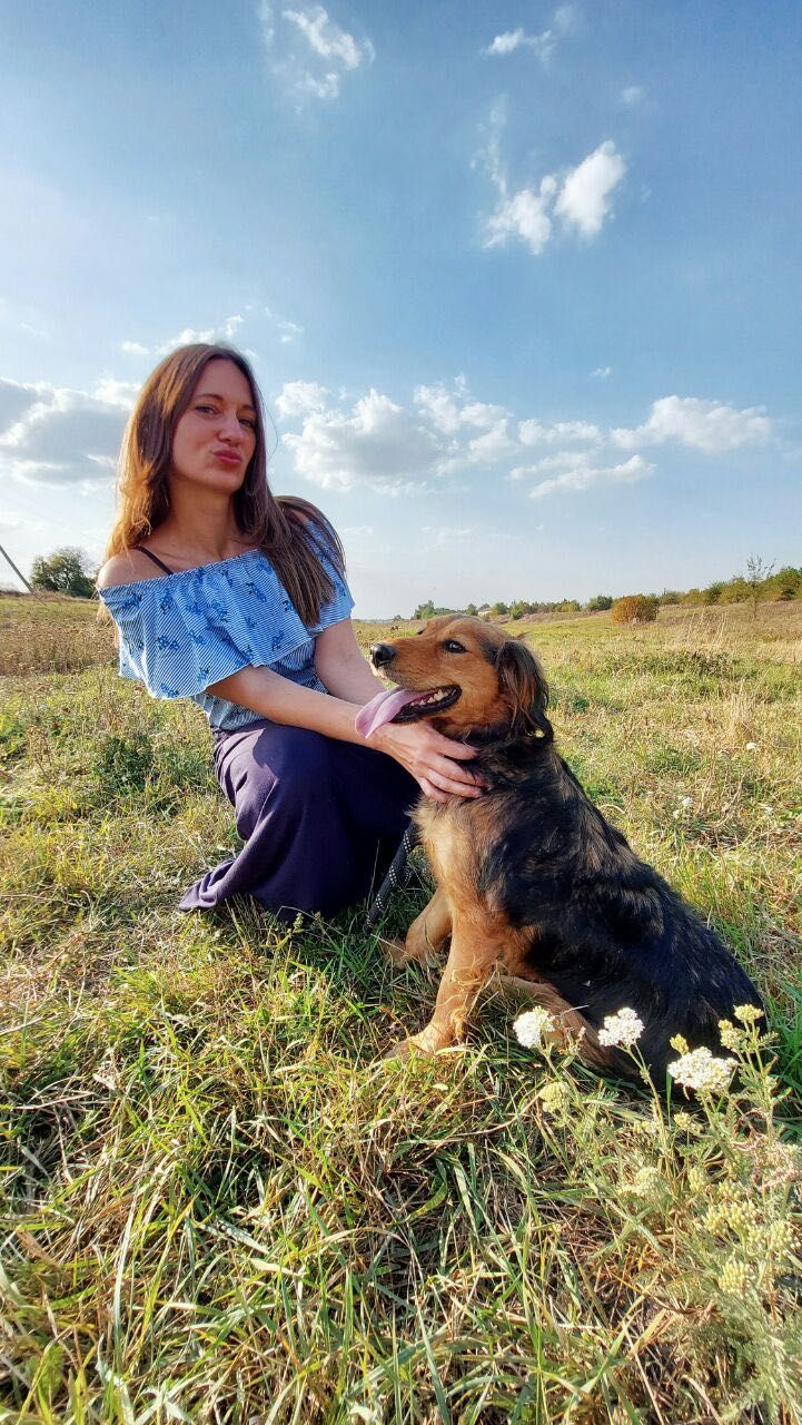 Метис бордер колли Диночка