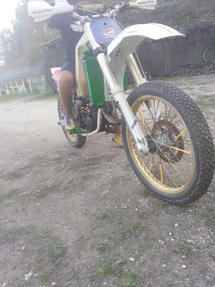 Troco infesa rotax