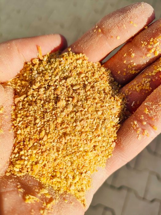 Śruta sojowa | HI PRO 46% białka |