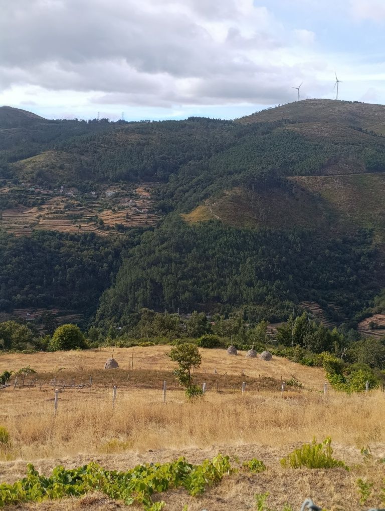 Limpeza de terrenos