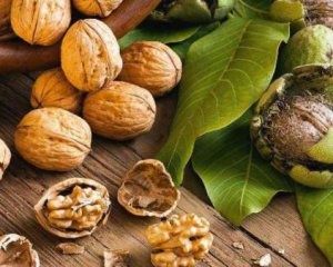 Саджанці горіха грецького