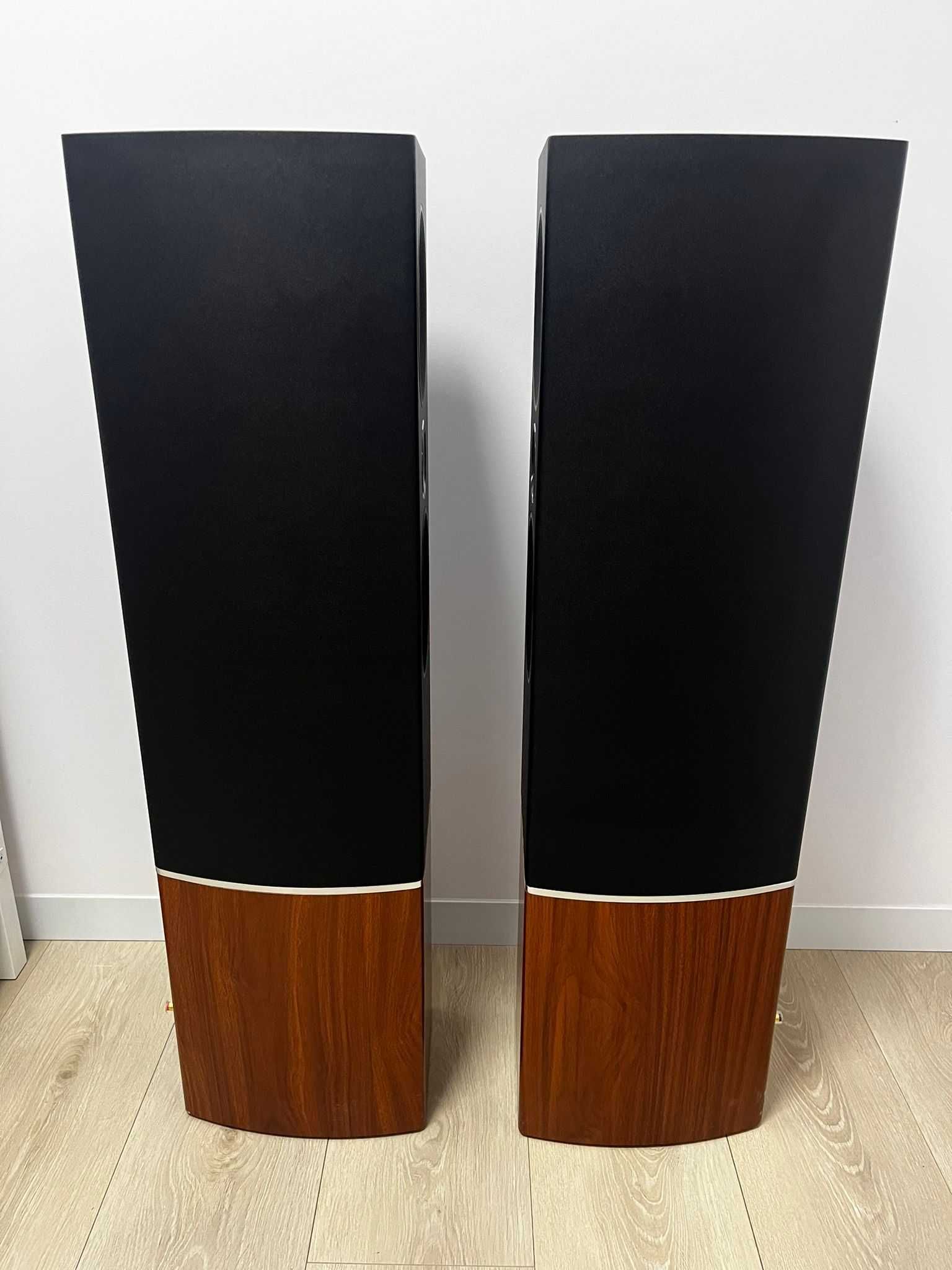 TANNOY Platinum F6 Black Burgundy