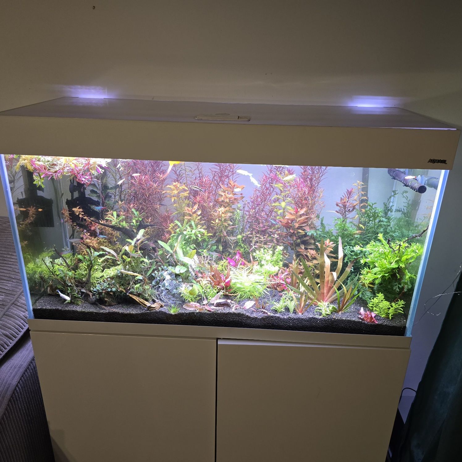 Akwarium Aquaell 200L zestaw CO2 5KG