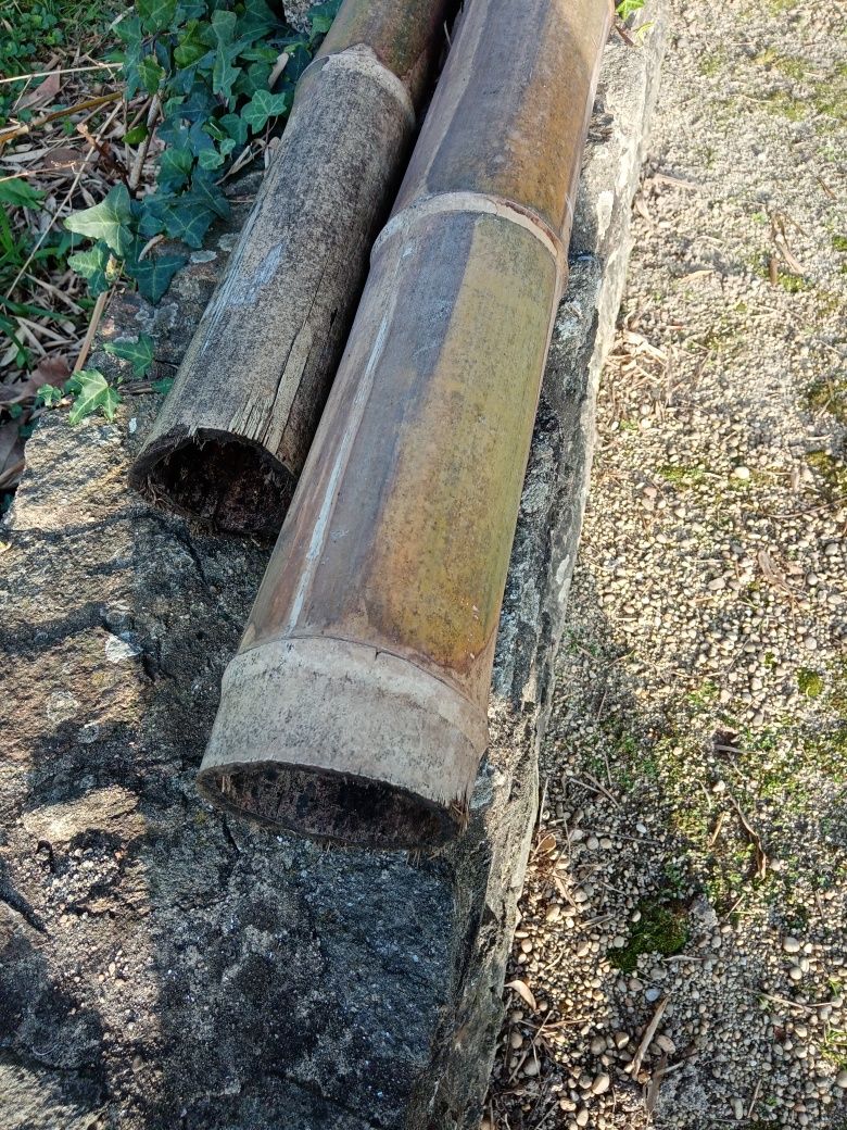 Canas de bambu para qualquer fim