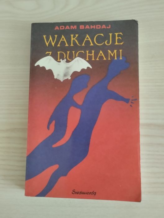 Wakacje z duchami książka