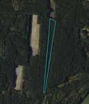 Sprzedam las sosnowy 2.7ha