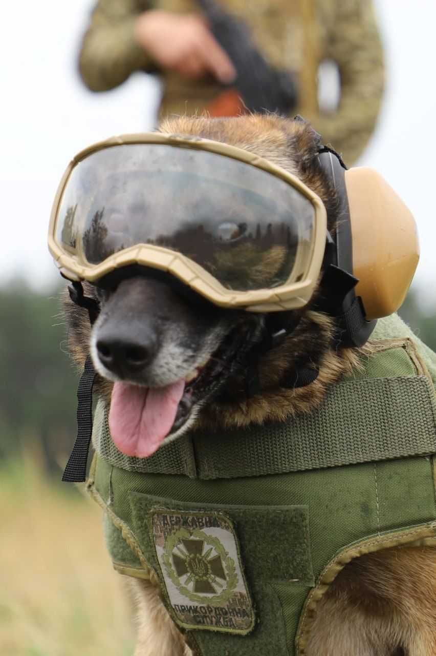 Тактичні проффесійні окуляри для собак Elite, (3 лінзи), coyote/black