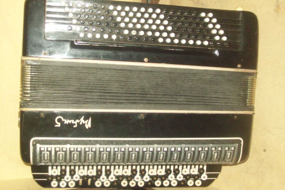 Гармонь ,гармошка,гармоника
