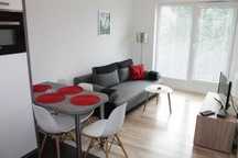 Sprzątanie apartamentów , domów , mieszkań , biur od  100 zł