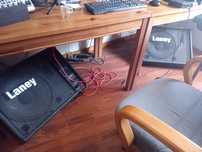 Conjuntos monitores Laney  TM300P