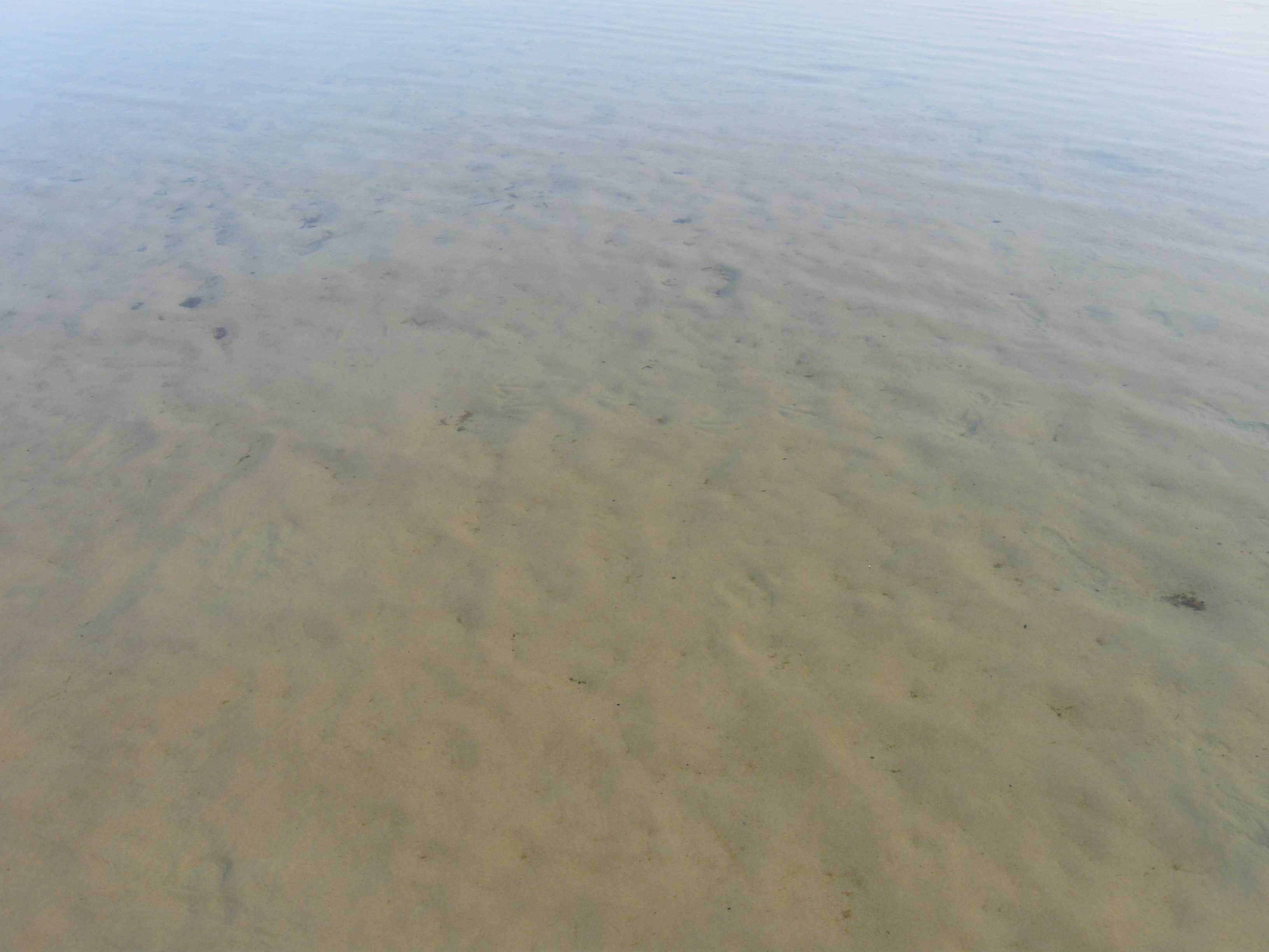 Відпочинок на озері Луки, будинок відпочинку, чиста вода, 50м пляж