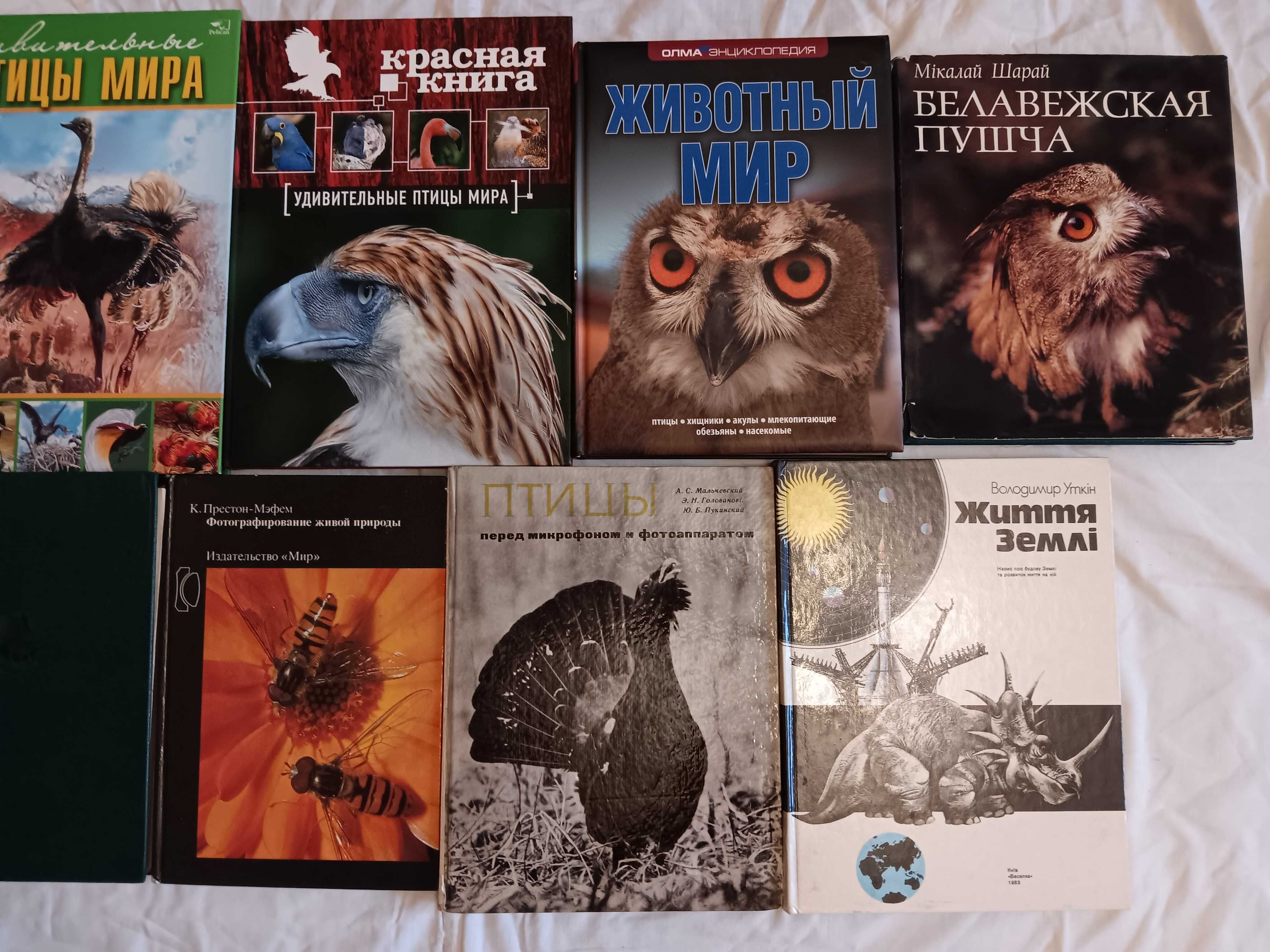 энциклопедия животных птиц планеты Красная книга Соседи по планете