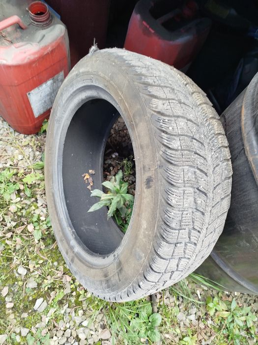 Шина 205/55r16 зимова