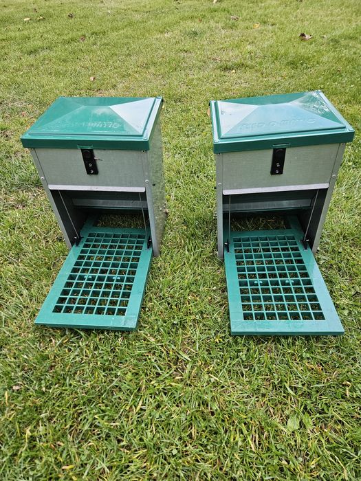 Automatyczny karmik dla drobiu