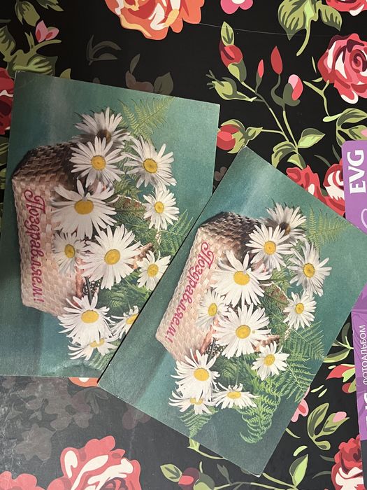 Новые чистые открытки СССР!