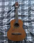 Gitara klasyczna salvador cortez