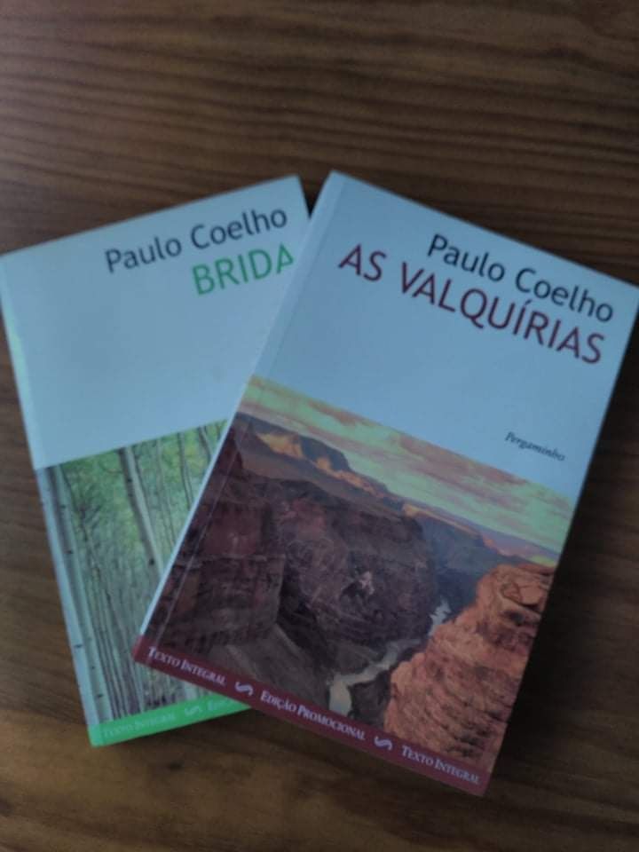 Vários livros de escritores portugueses e estrangeiros