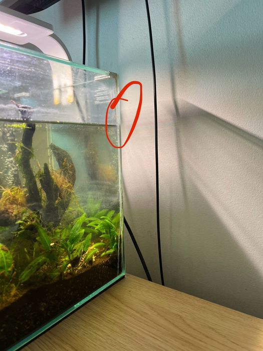 Shrimp Set 20 Aquael kostka male akwarium na krewetki filtr kaskadowy
