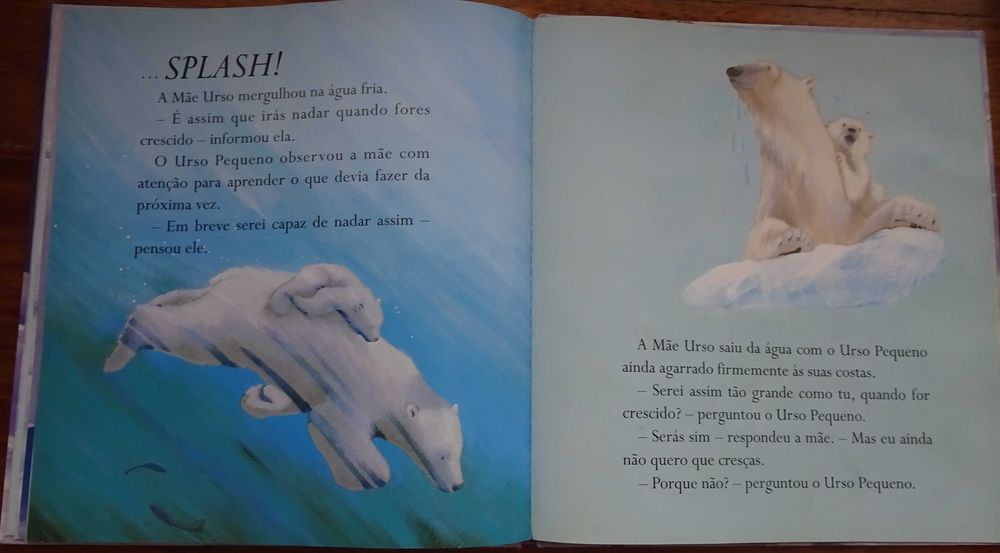 Urso Grande Urso Pequeno (Um Livro Para Tocar e Sentir)