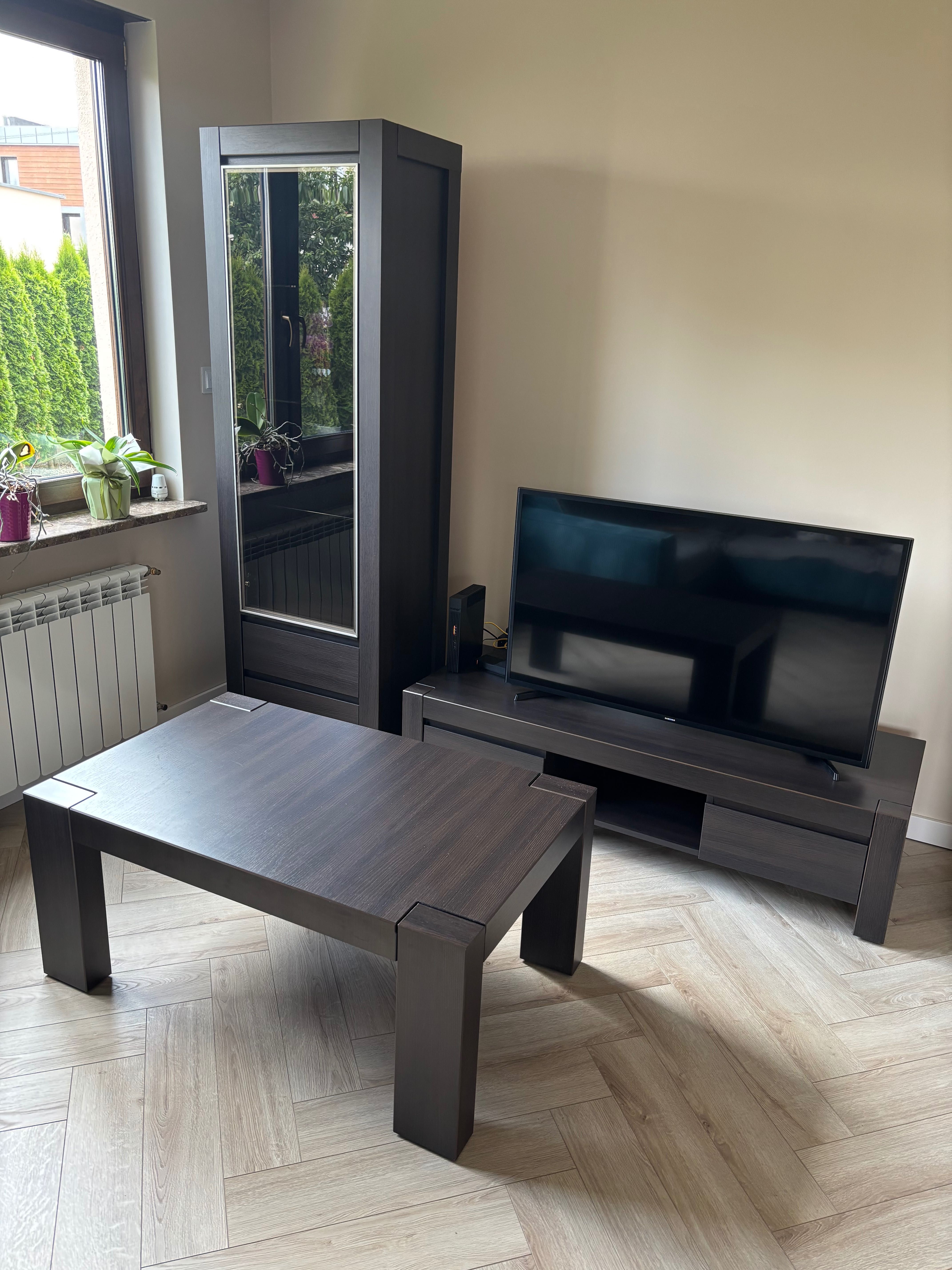 Komplet mebli do salonu
