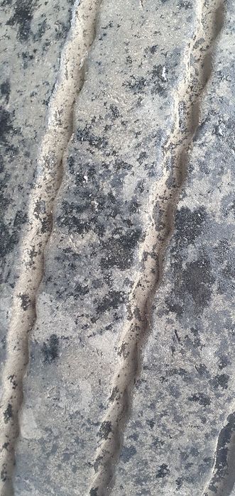 Два колеса з дисками  R22.5