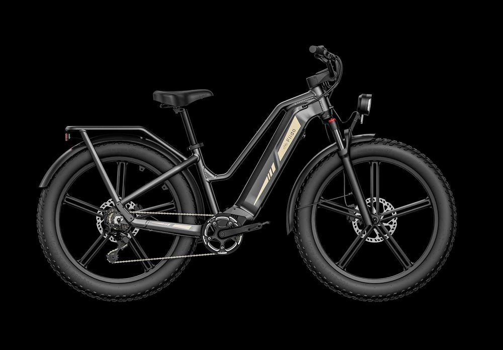 Bicicleta Elétrica Fiido Titan - 2025