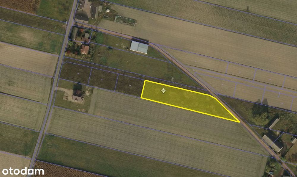 Na sprzedaż duża działka w okolicy Kanału Ślesińskiego