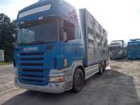 Scania R500 6x2 Pezzaioli, 3 piętra, Podnoszony dach, żywca, zwierząt  Pezzaioli, Menke, Michieletto, Finkl, Berdex