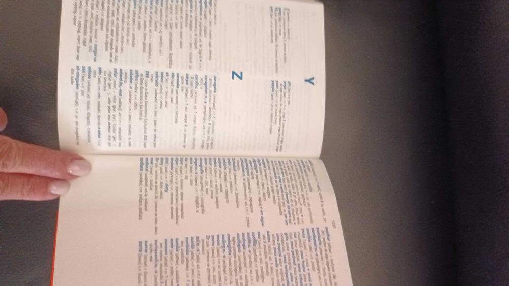 Dicionário Espanhol-Português e Português-Espanhol