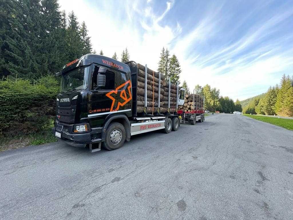 Transport drewna , usługi HDS