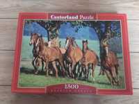 Puzzle Castorland 1500