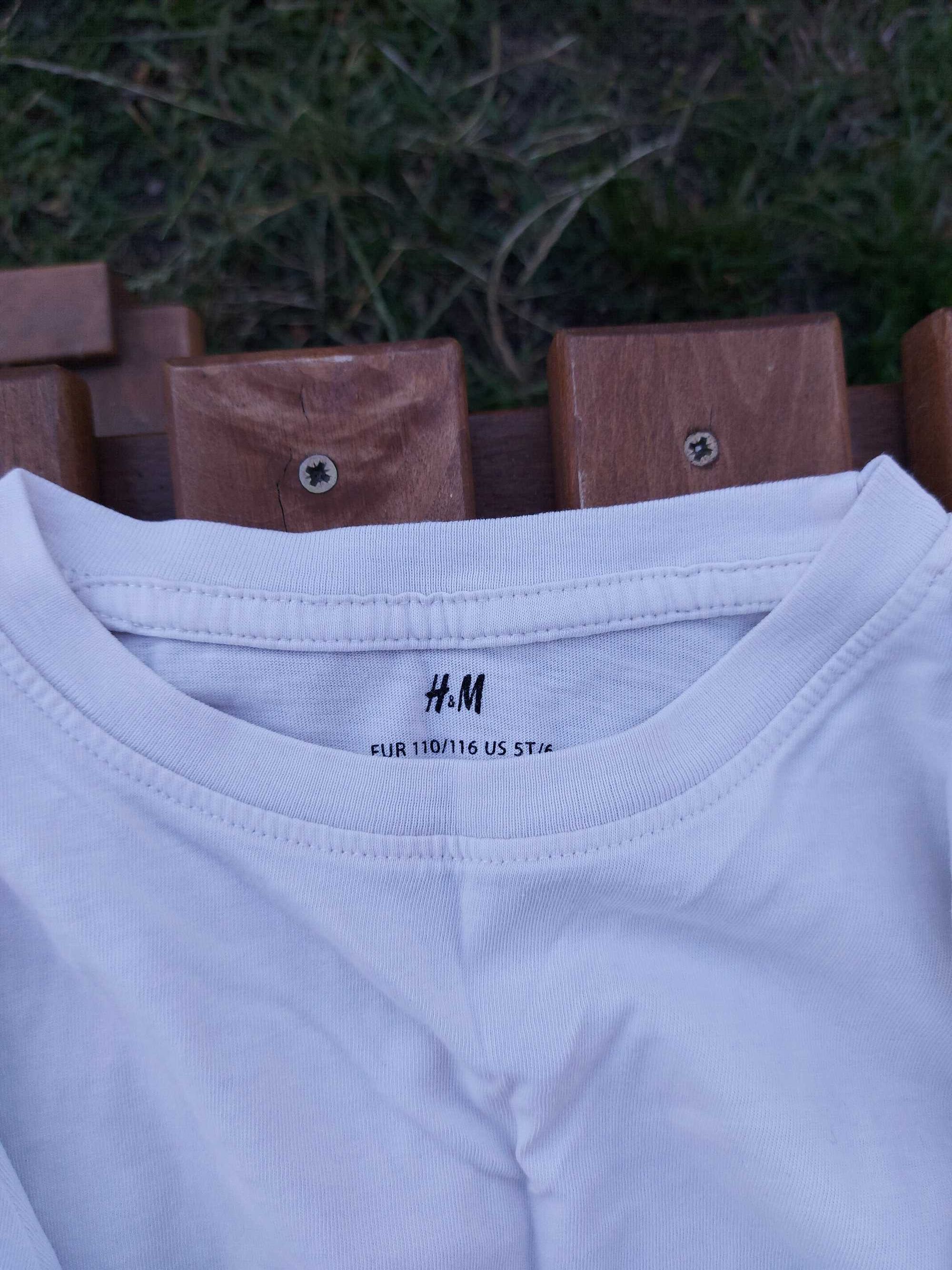 Koszulki (t-shirt) dziewczęce, rozm. 110/116, 5 sztuk H&M