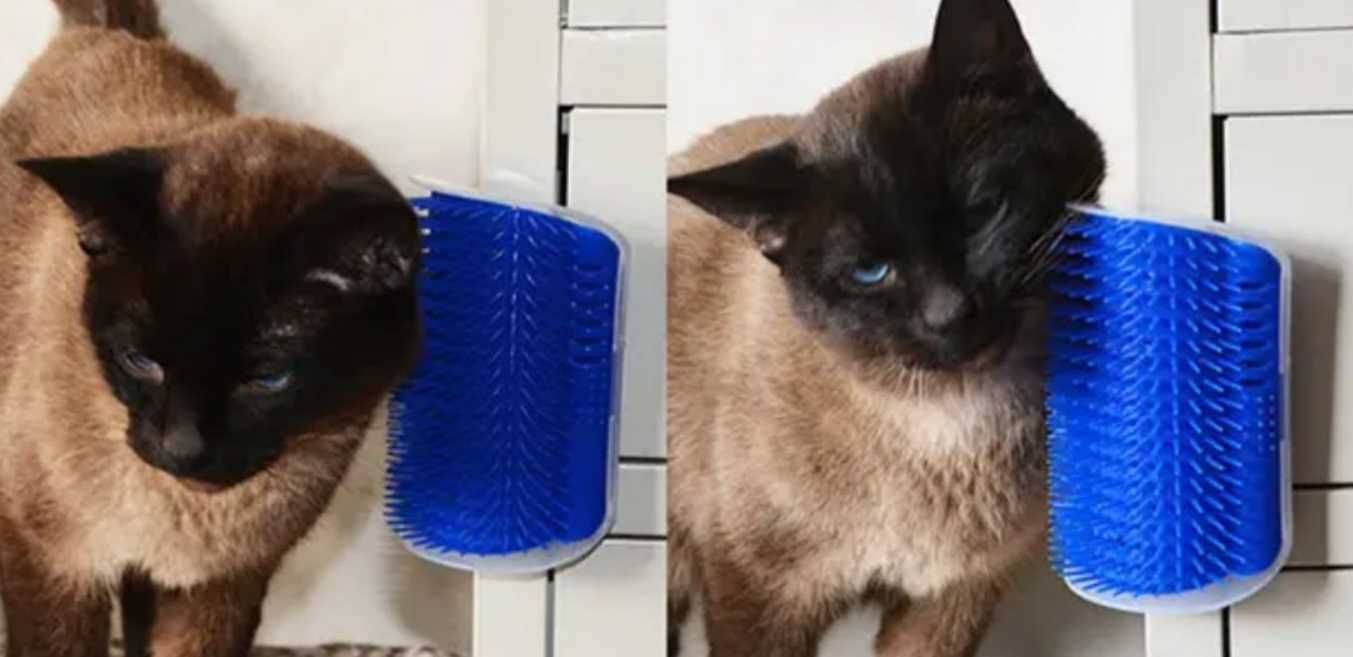Интерактивная игрушка чесалка для кошек