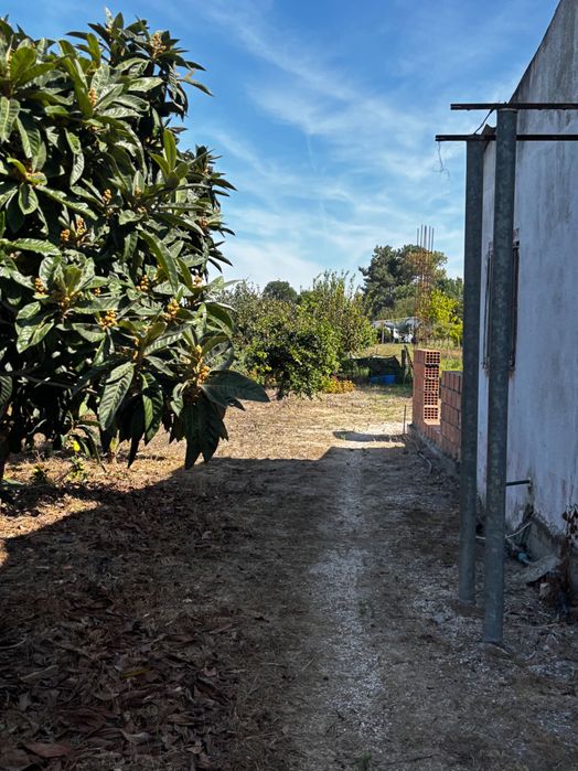 Terreno com 2 casas Habitacionais