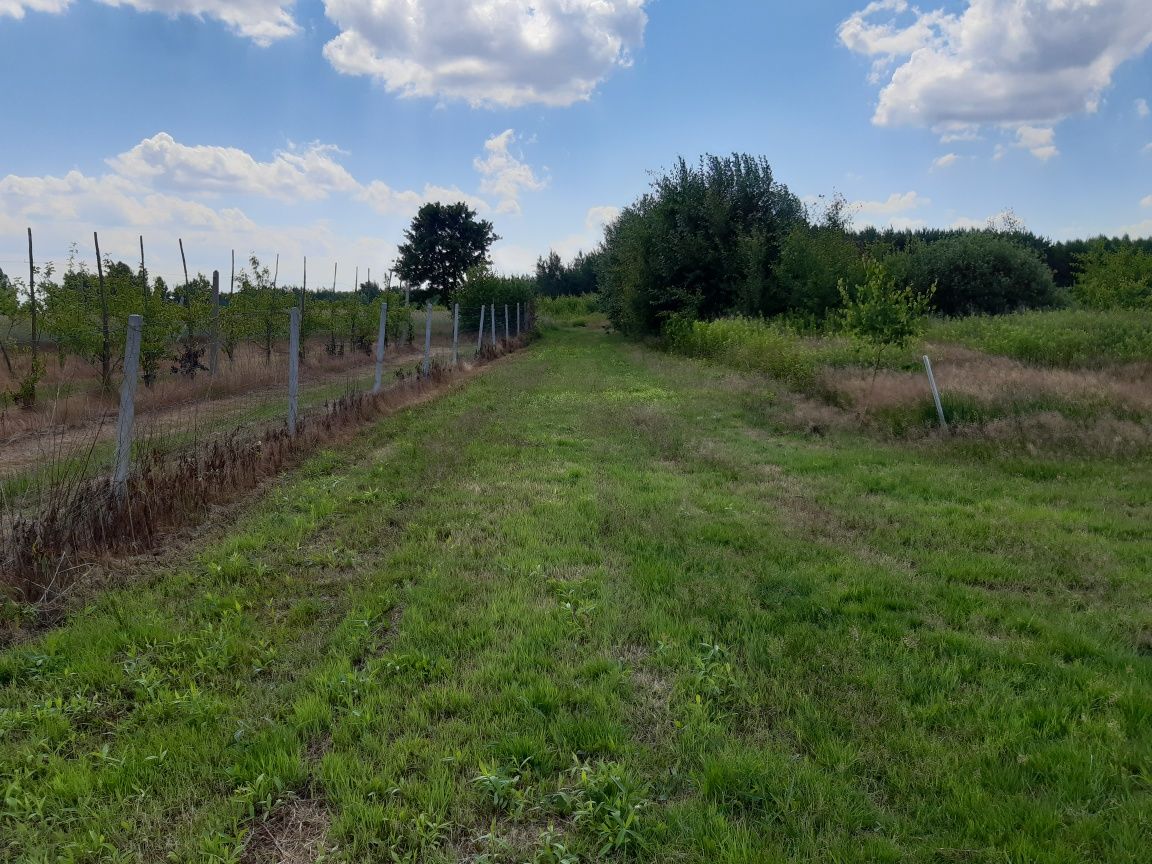 REZERWACJA _Działka budowlana 1222 m2 w Barcicach Drwalewskich