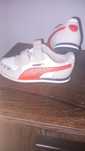 Buty sportowe chłopięce PUMA